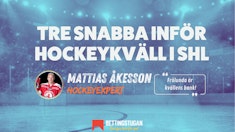 Hockeykvall SHL Bettingstugan odds