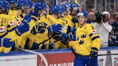 Sverige Hockey VM