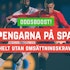 10 gånger pengarna på Spanien mot Portugal